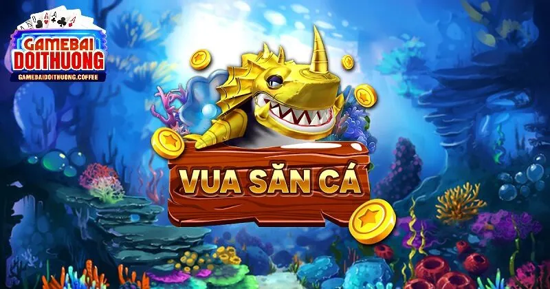 Các tính năng ưu việt làm nên hấp dẫn của vua săn cá